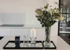Specktrum Bakker^Harlequin Tray - Clear Large