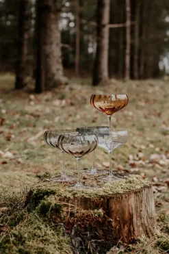 Specktrum Vin - Og Cocktailglas^Meadow Stemware - Clear Cocktail glass
