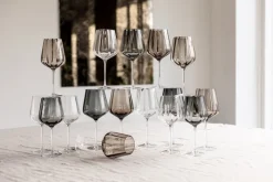 Specktrum Vin - Og Cocktailglas^Meadow Stemware - Clear Red wine